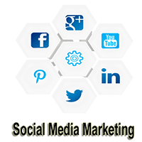 you will learn different platforms of social media marketing